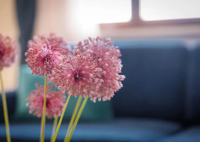 Apartment Olivia & Navy, *