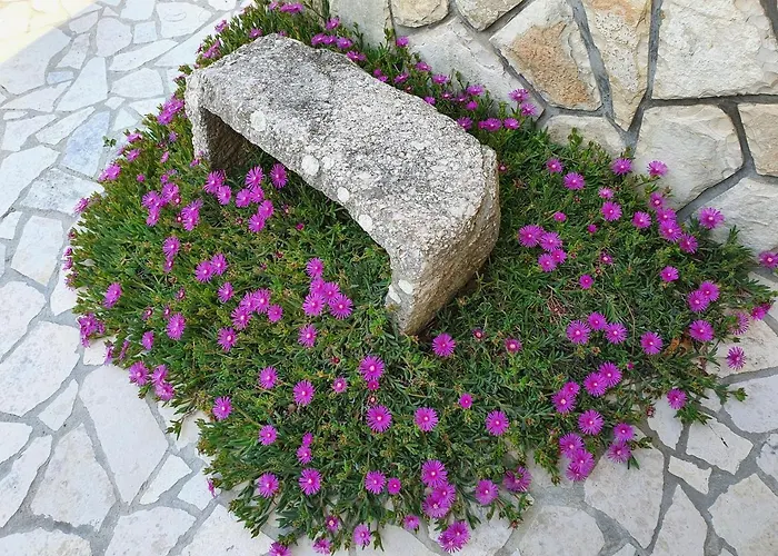 Apartment Olivia & Navy, *