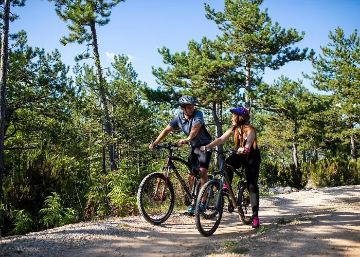 Apartment Olivia & Navy, Silo (Krk)