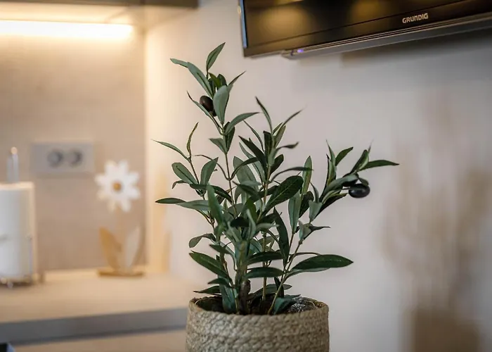 Olivia & Navy, Appartamento