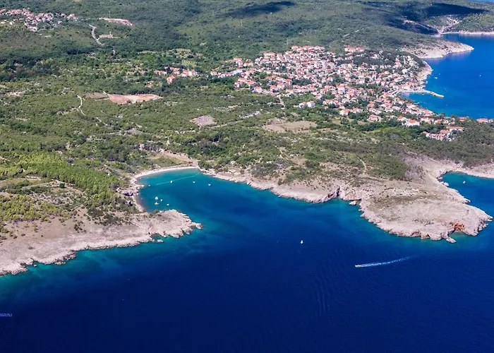 Olivia & Navy, * Šilo