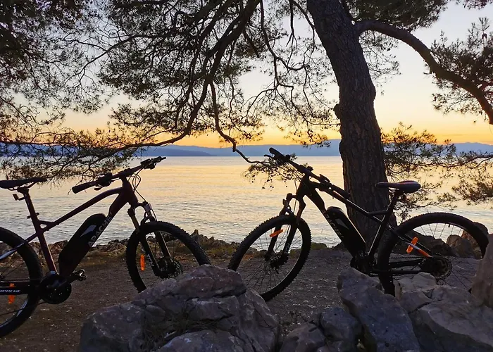 Olivia & Navy, Šilo